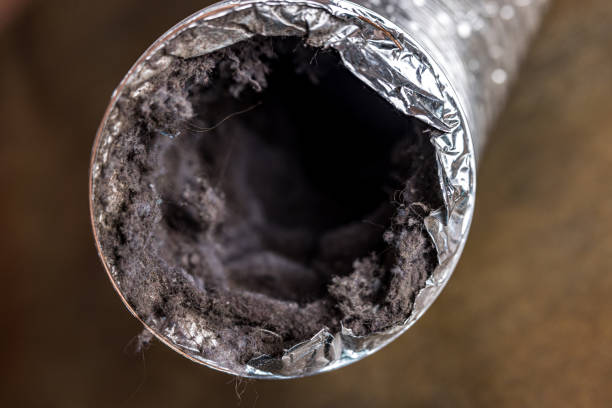 Best Air Duct Inspection  in USA